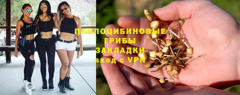 Галлюциногенные грибы MAGIC MUSHROOMS  OMG ТОР  shop телеграм  Вязьма 